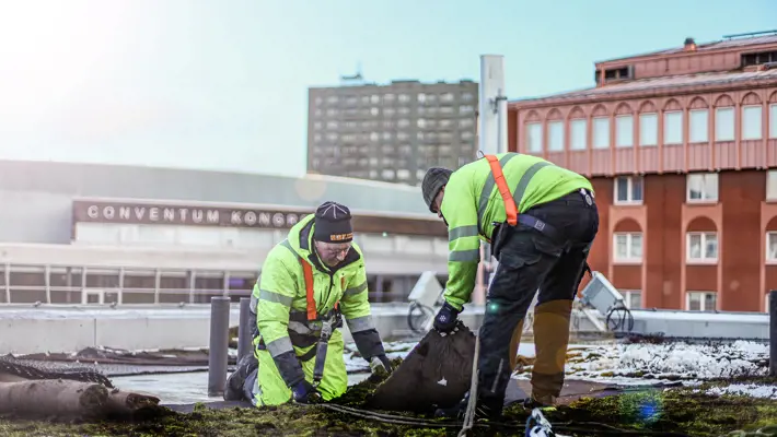 Från noll till etablerat takföretag på bara fem år - välkommen till Tak och Tätskikt i Örebro AB